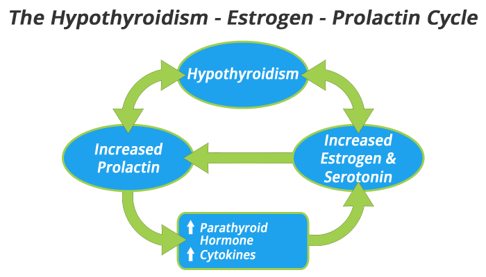 hypothyroidism and stress