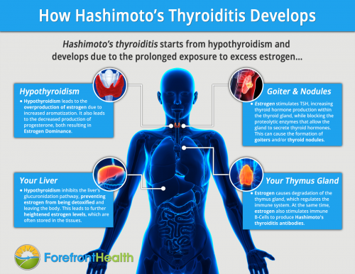 Hashimotos Thyroiditis How It Develops And How To Reverse It 9703