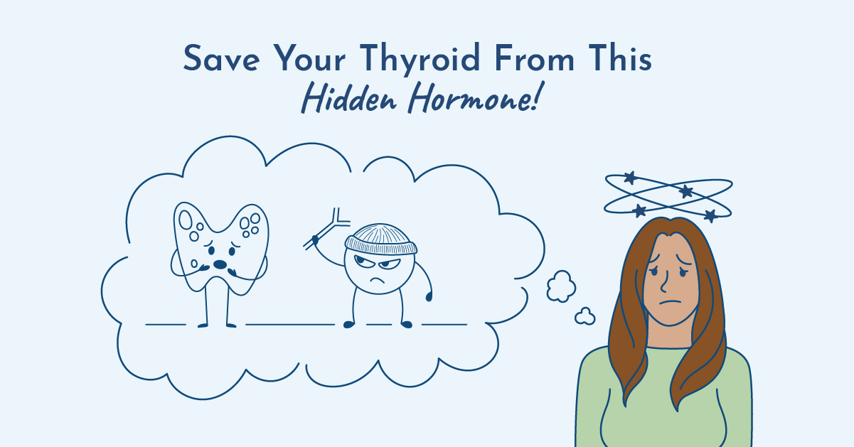 hypothyroidism and estrogen