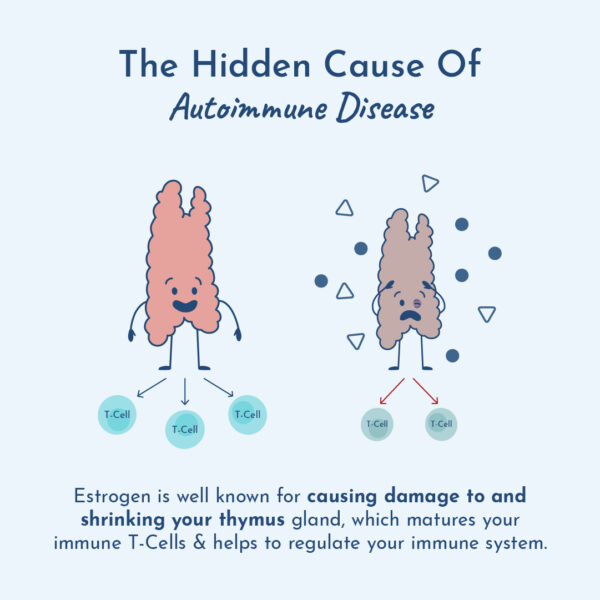 Illustration of estrogen causing autoimmune disease.