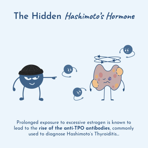 Illustration of estrogen’s effect on thyroid by anti-TPO antibodies.