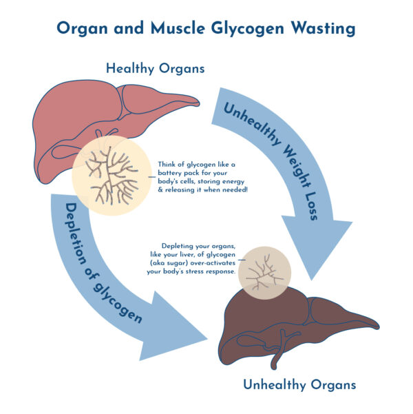 Diagram showing glycogen depletion cycle in organs.