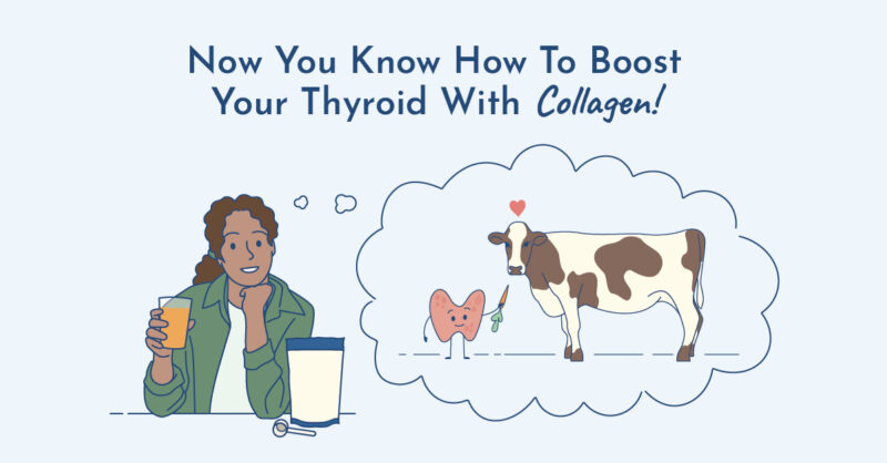 Collagen help boost thyroid health