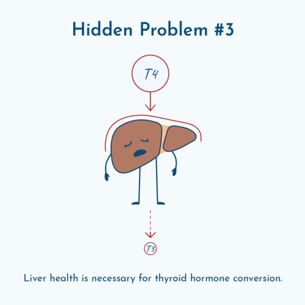 A graphic of unhealthy thyroid hormone conversion in the liver.