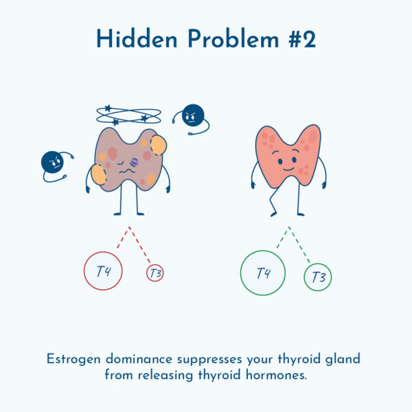 A graphic of unhealthy vs healthy thyroid hormone production.